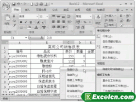 Excel2007隐藏行和列