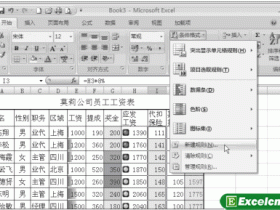 Excel2007中自定义条件格式标识