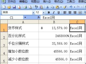 使用工具栏设置Excel2003数字格式
