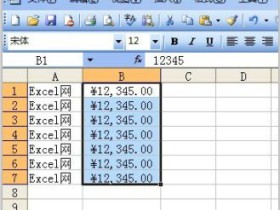 使用Excel2003的菜单命令设置数字格式