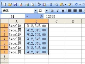 在Excel2003中自定义数字格式