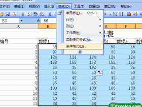 设置Excel2003条件格式