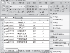 Excel2007中复制工作表