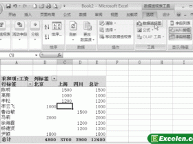 Excel数据透视表创建数据透视图