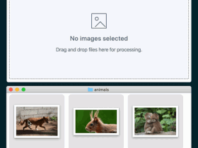 Exifcleaner-清除图片、PDF、视频中的exif信息工具