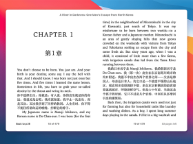 Ebook Translator-将电子书翻译成指定语言（原文译文对照）的Calibre 插件