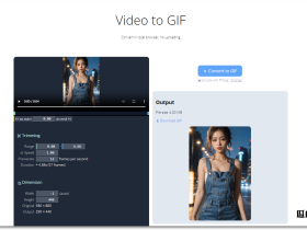 Video to GIF-在线视频转gif图网站