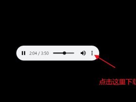 免费下载网易云音乐里的歌曲