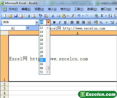 设置Excel表格中的文字大小第1张