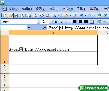 设置Excel2003单元格中的文本字形第2张
