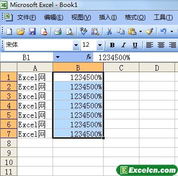 在Excel2003中自定义数字格式第3张