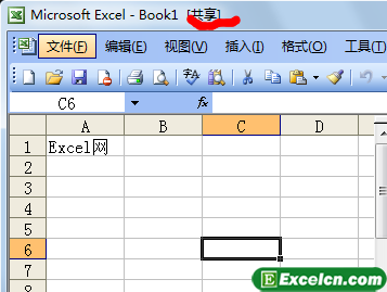 将Excel工作簿设置成为共享工作簿第3张