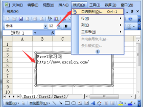 设置excel2003中自选图形格式的具体方法