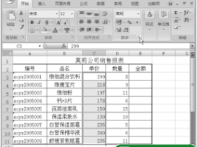 隐藏Excel2007单元格中的内容