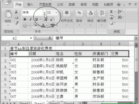设置Excel2007单元格字体格式的方法