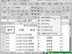 设置Excel2007文字排列方向
