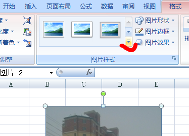 Excel2007中调整显示区域样式第1张