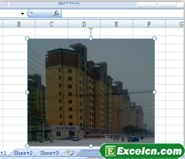 Excel2007中调整图片亮度和对比度第3张