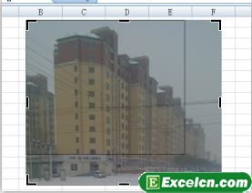 Excel2007中裁剪图片第2张