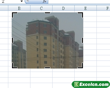 Excel2007中裁剪图片第3张