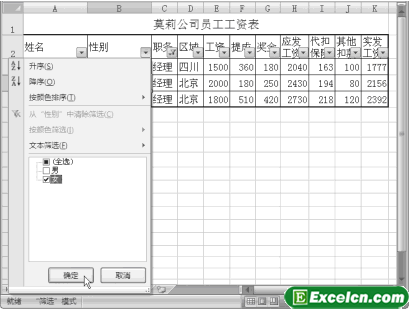 在Excel2007中同时按多个条件筛选第1张
