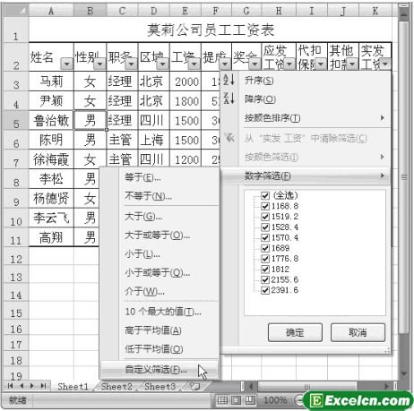 Excel2007的自定义筛选第2张