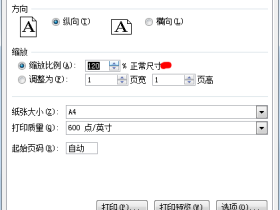 Excel2007中整体缩放工作表