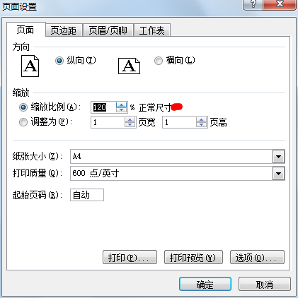 Excel2007中整体缩放工作表第1张