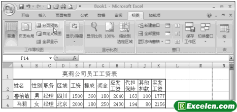 Excel2007分页预览第1张