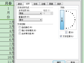 怎样把excel表里的字体竖立