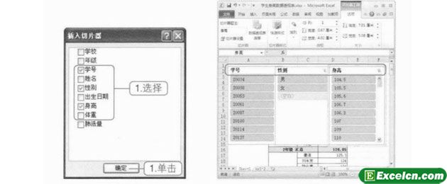 Excel2010中的切片器功能第3张