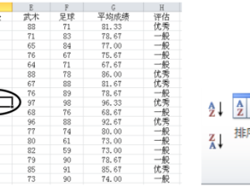 Excel 的数据筛选功能