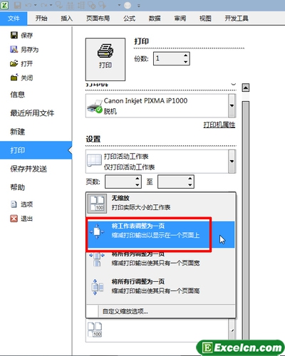 excel2010将工作表调整为一页打印的方法第1张