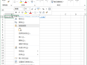 使用excel右键菜单