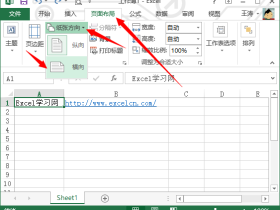 excel2013中的纸张方向和大小