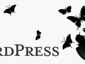 WordPress前台显示登录用户的注册时间