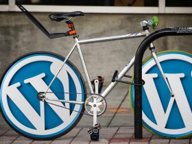 wordpress---wp_query的使用方法
