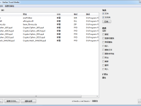 FileRenamer-文件&文件夹批量重命名工具