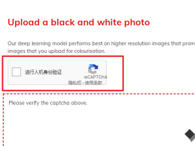 将黑白老照片变成彩色 - ColouriseSG