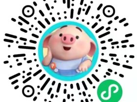 感谢您关注“瓜皮猪”公众号！