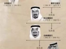 黑凤凰:小萨勒曼传(下)