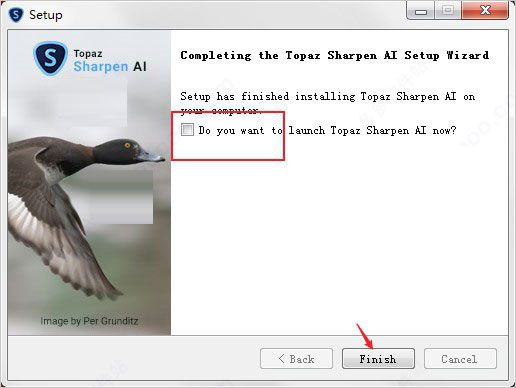 Topaz Sharpen AI中文破解版-人工智能模糊照片变清晰软件第8张