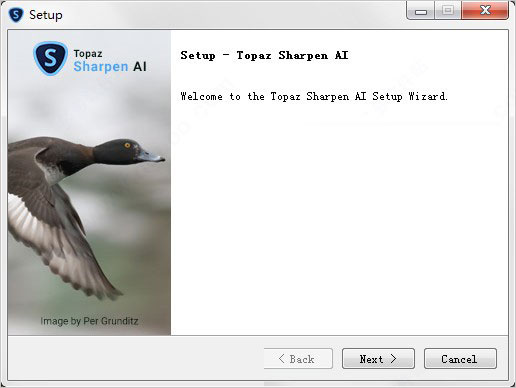 Topaz Sharpen AI中文破解版-人工智能模糊照片变清晰软件第4张