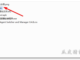 Duf-简单的局域网文件共享工具