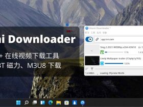 Hitomi Downloader-在线视频下载工具，支持 M3U8、BT 种子和磁力链接