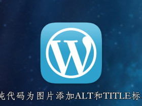 WordPress自动给文章中的图片加ALT和TITLE标签