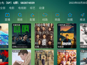 可视TV Max最新版APP（附接口及使用说明）