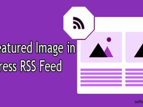 在 WordPress RSS Feed 中添加特色图片