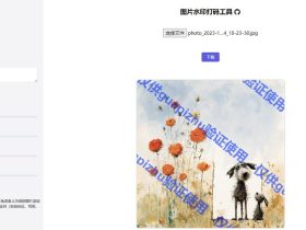 Image Watermark Tool-开源图片本地水印打码工具，保护好自己的隐私