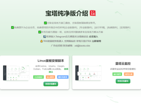 宝塔面板纯净版